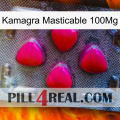 Kamagra Chewable 100Mg 13